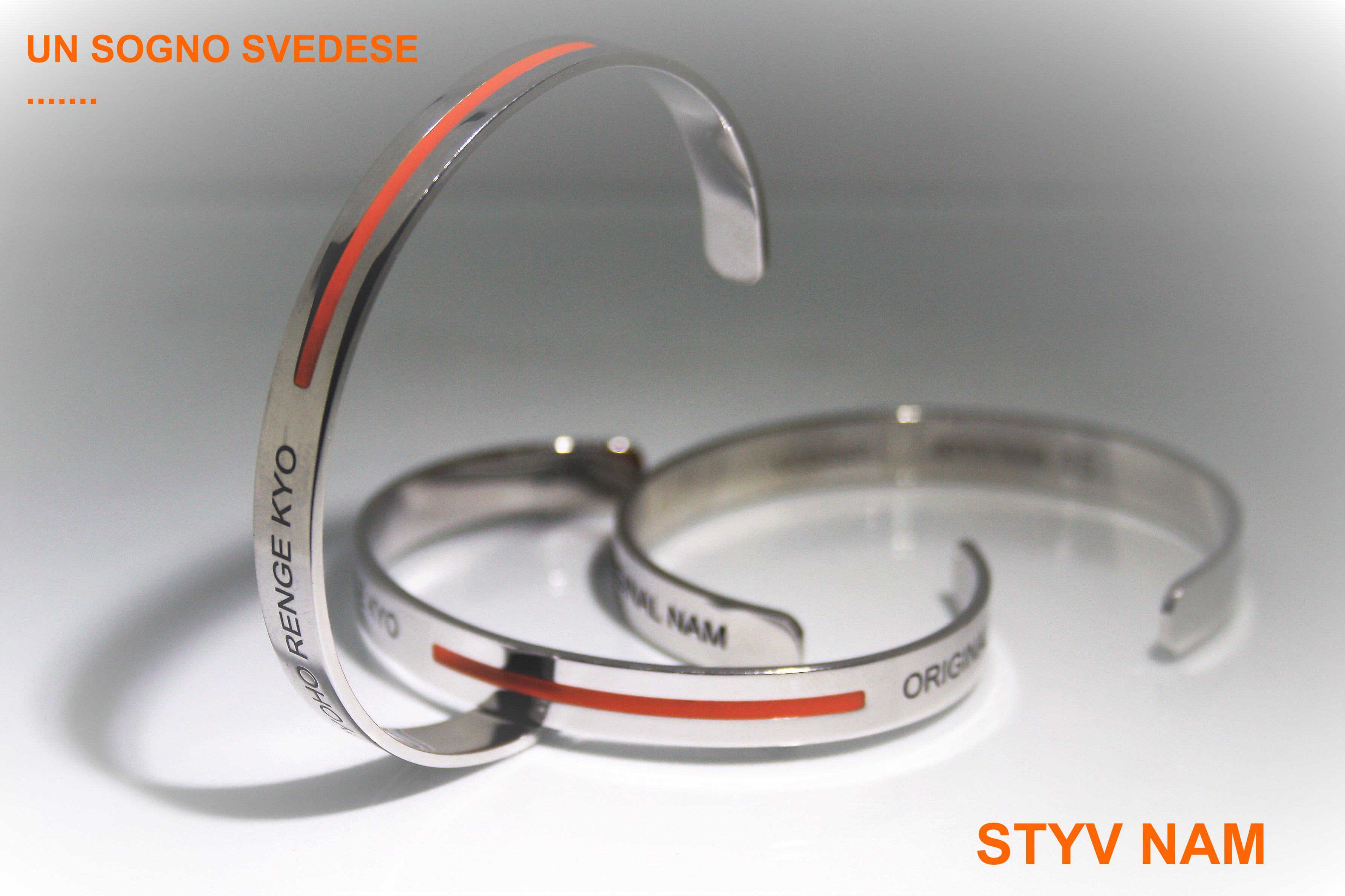 UN_SOGNO_SVEDESE